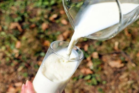 MFGM dan Protein Susu Bisa Tingkatkan Fungsi Fisik Lansia