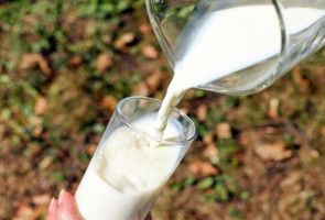 MFGM dan Protein Susu Bisa Tingkatkan Fungsi Fisik Lansia